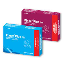 Fixcef Plus 500